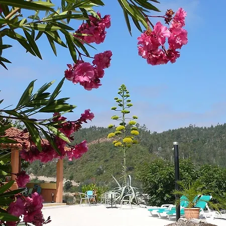 Retiro No Rio Bed & Breakfast *